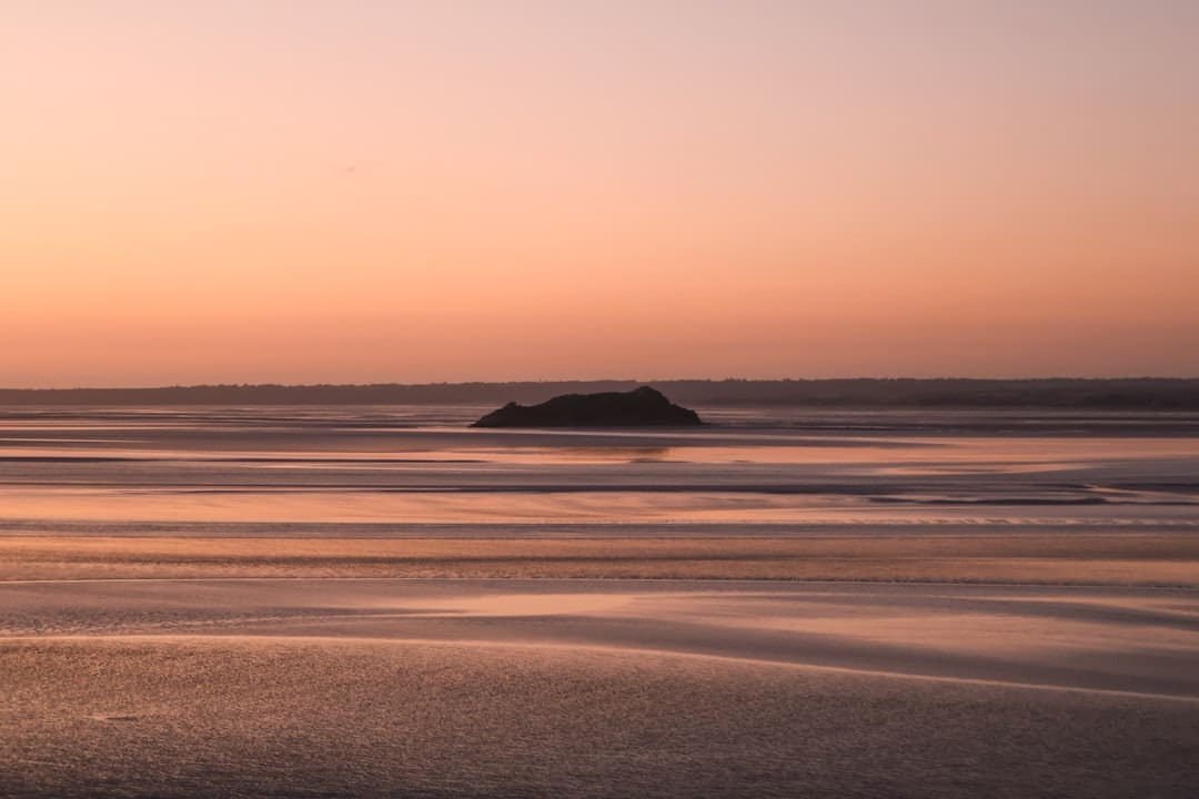 夏天经济“热”力四射 多元业态绘就村庄复兴新图景